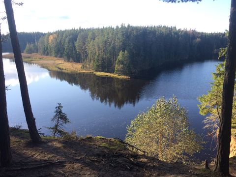 Vaade jõele ja metsale lähiümbruses